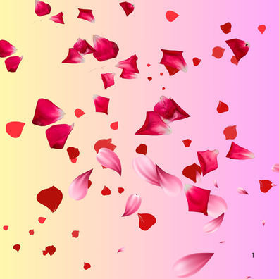 Consommez les pétales de Roses