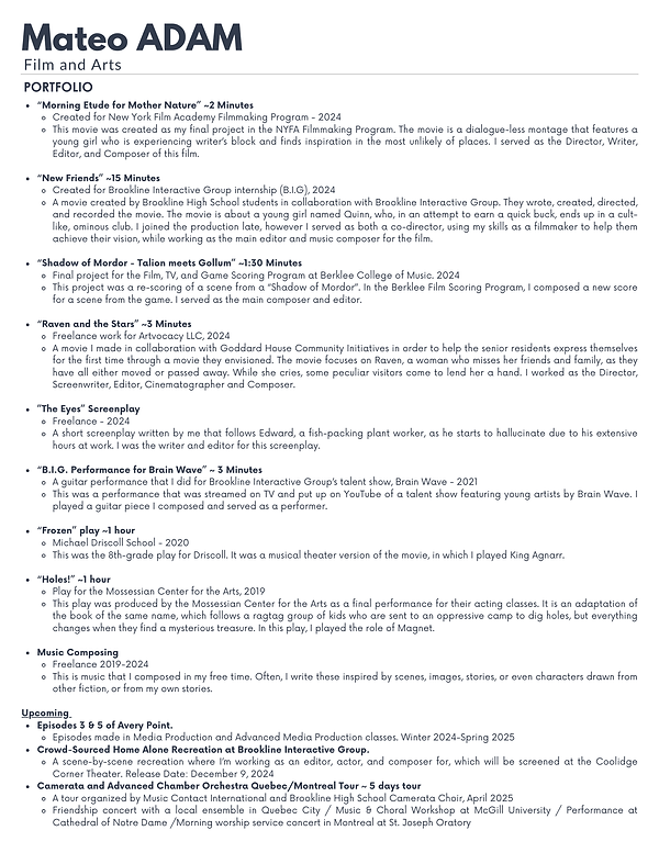 Portfolio - Mateo Adam.png