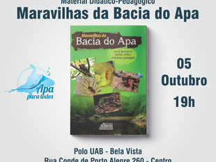 Aprender Brincando: Programa Rio Apa para Todos lança livro de figurinhas "Maravilhas da Bacia