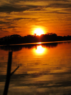 Crepúsculos premonizam o fim