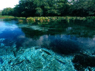 Brasil é finalista em prêmio de turismo sustentável