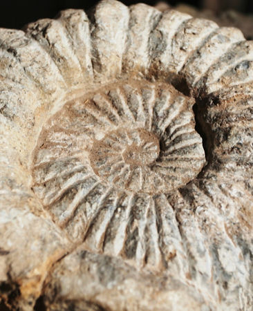 Untitled design - 2_edited.jpg