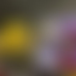 夏休み親子参加イベント 議事堂見学会と投票体験