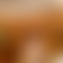 ごみゼロキャンペーン・埼玉県私立小学校中学校高等学校保護者会連合会