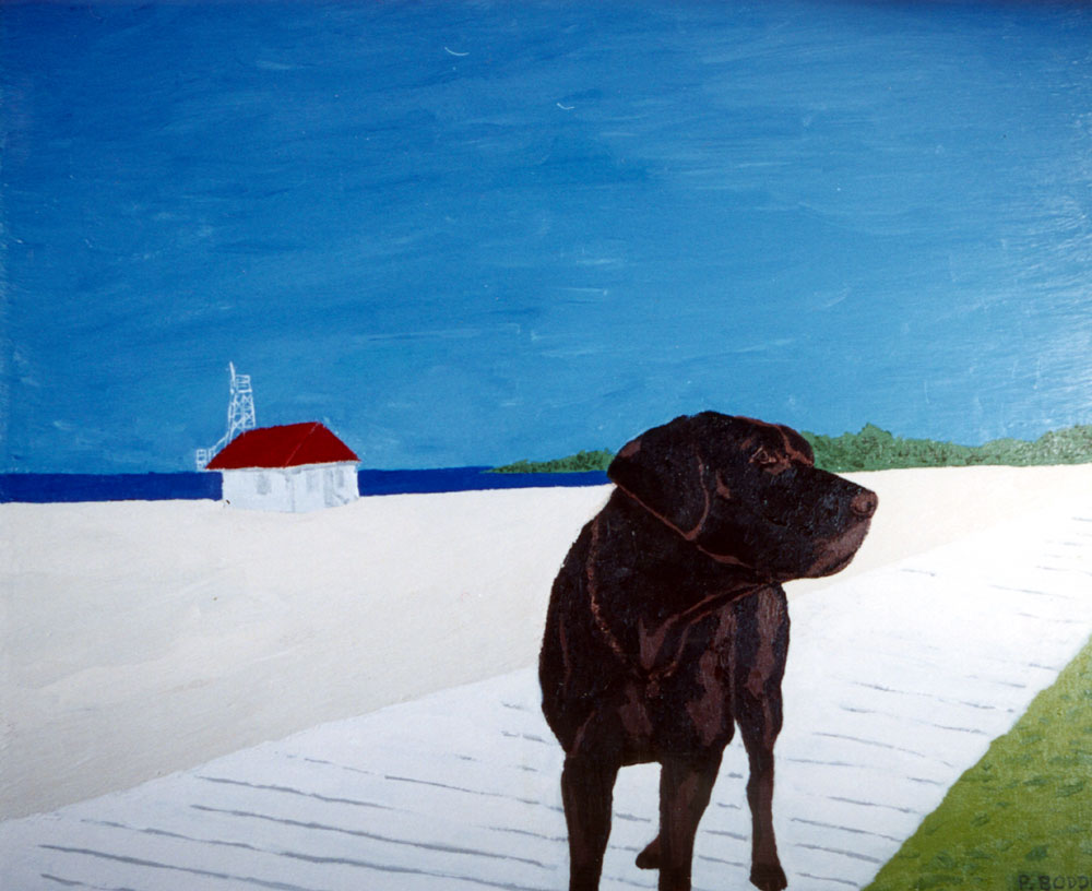Sam on the Beach