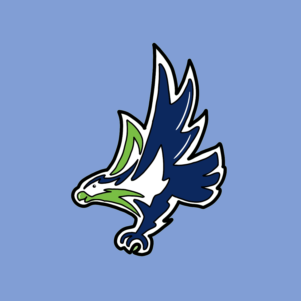 Seahawks 3 copy.png