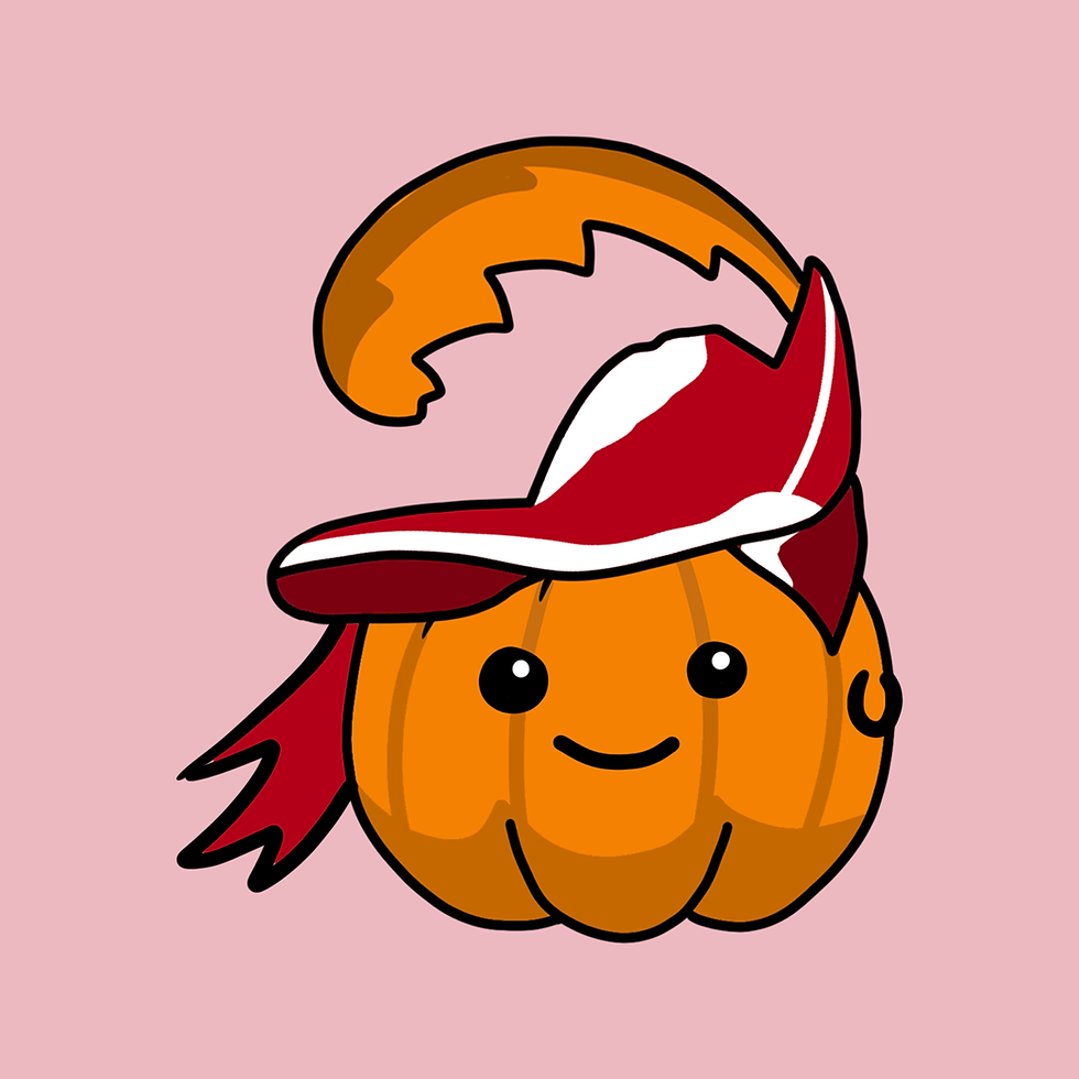 Tampa Bay Buccaneers 9 copy.png