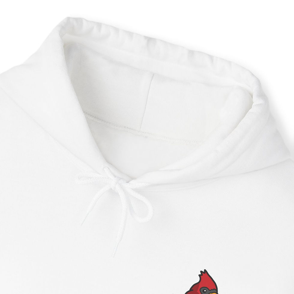 Thumbnail: Arizona CornDoggyLOL Football Hoodie Design 3