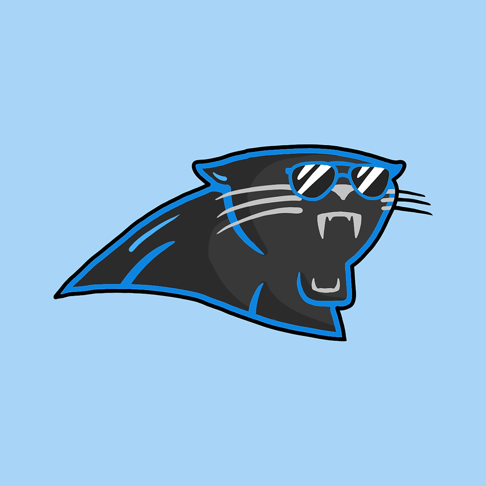 Carolina Panthers 18 copy.png