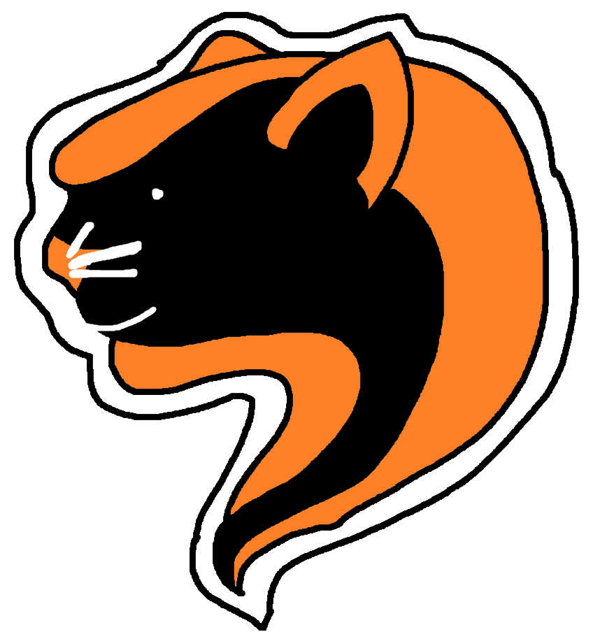 CIN Week 17.png
