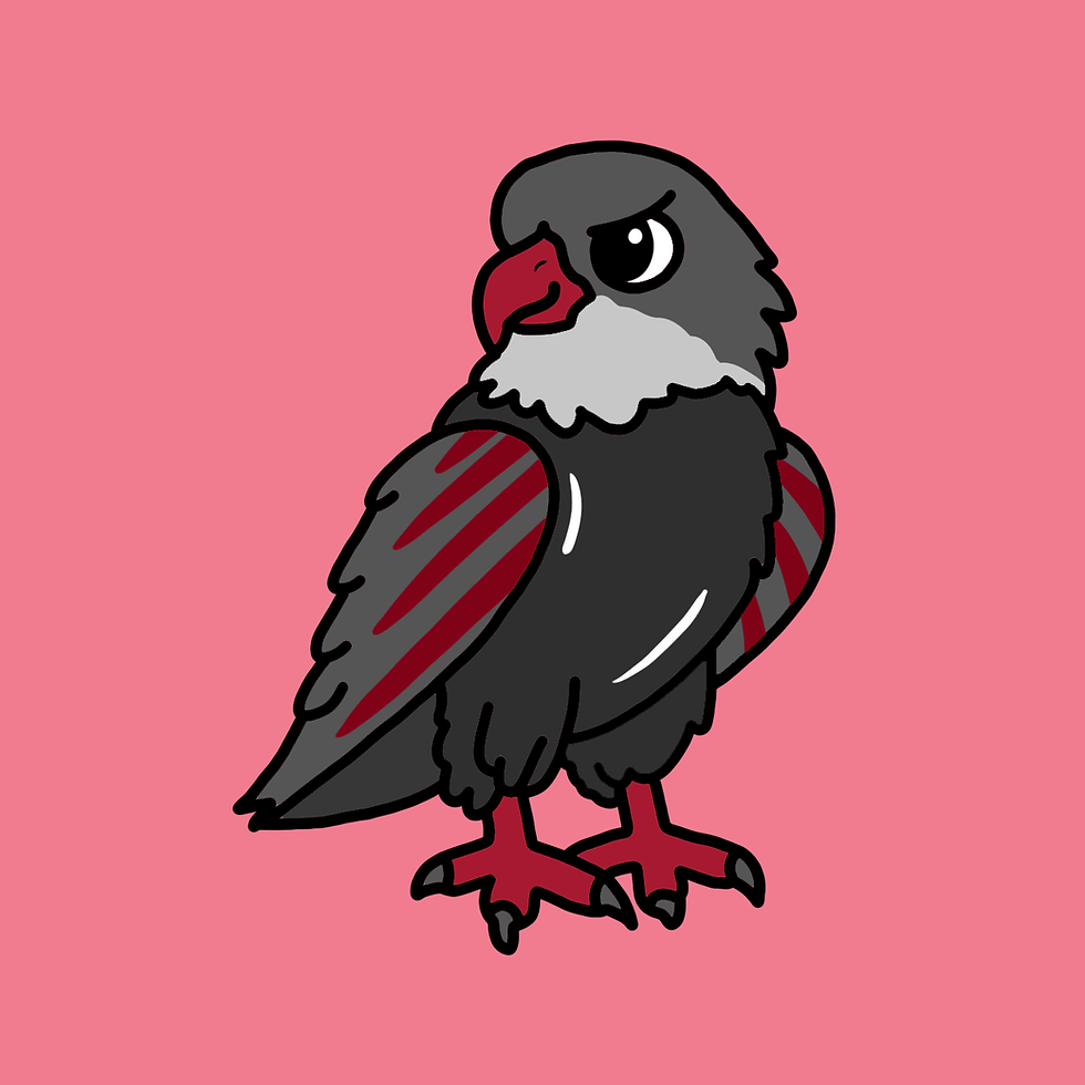 Atlanta Falcons 17 copy.png