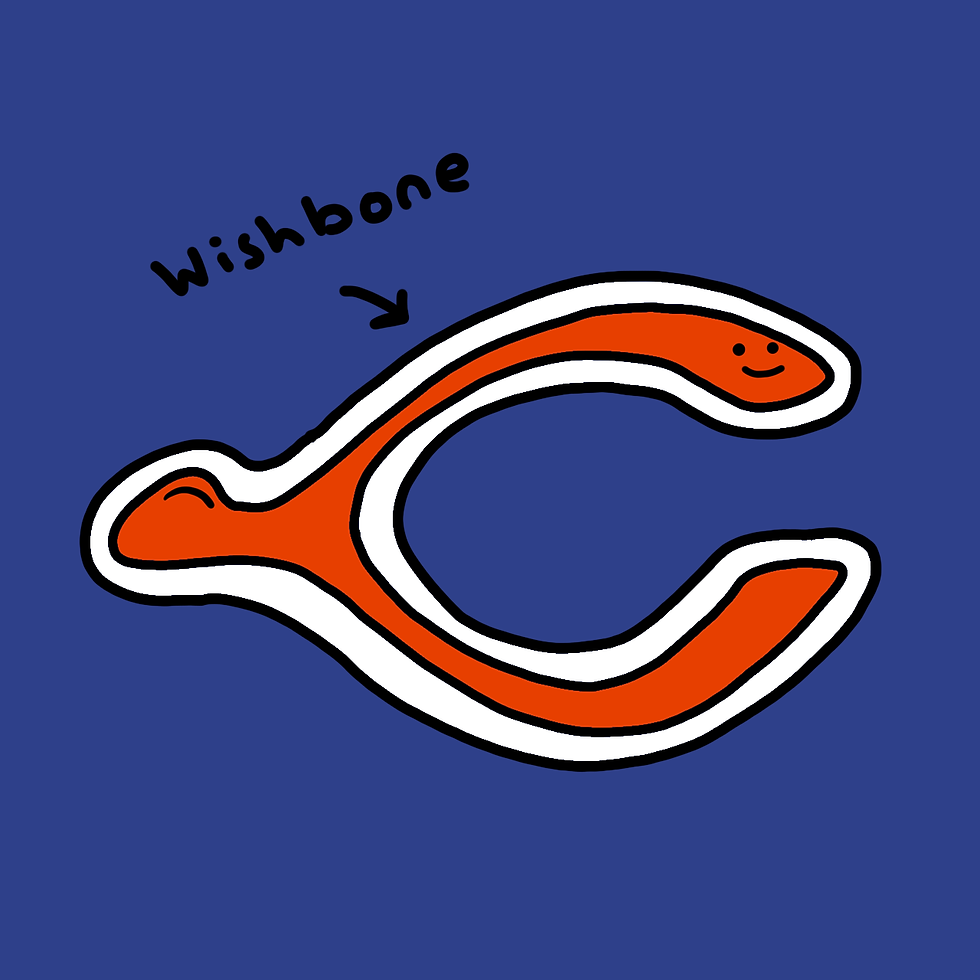 Bears 12 copy