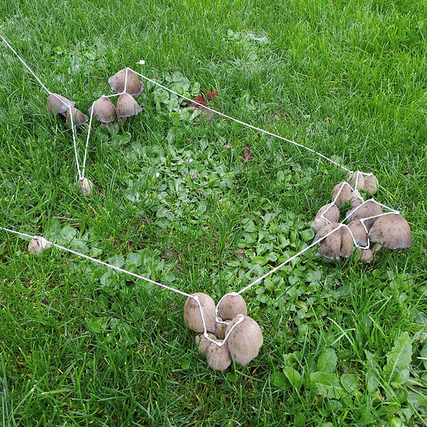 Jill_GUILLAIS_Constellation_intervention in situ_photographie