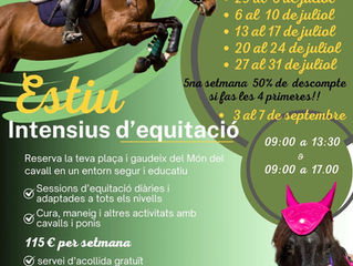 Intensius d’equitació Estiu