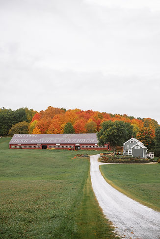 Mei Lin Barral Photography_colorful autumnal brunch Vermont wedding inspiration-22.jpg