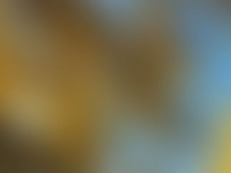 Making time to get inspired