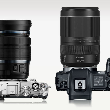 Canon RF 24-240 F4-6 IS USM vs Olympus M.Zuiko 12-100mm f/4 IS PRO