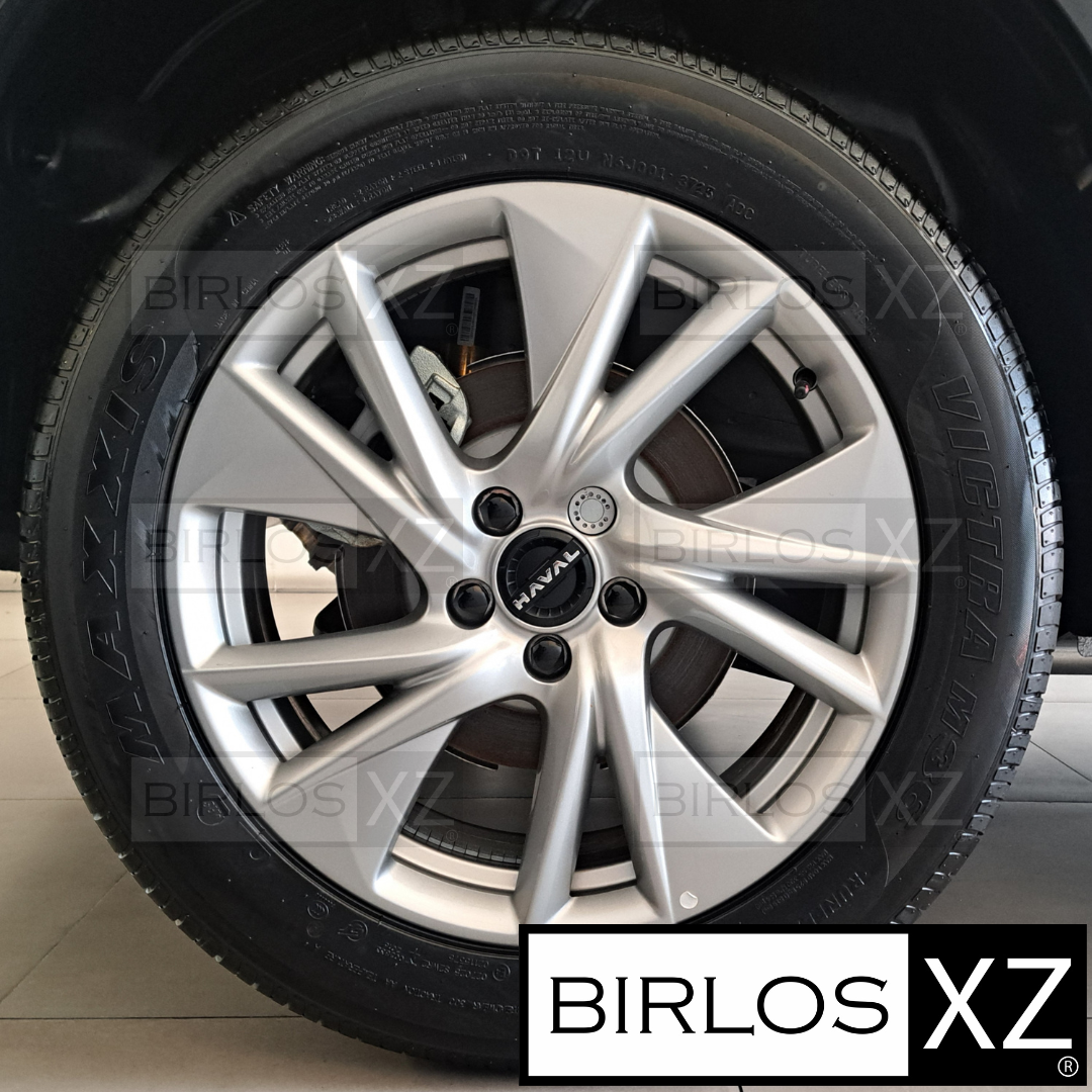 GWM HAVAL (1) Rin19"