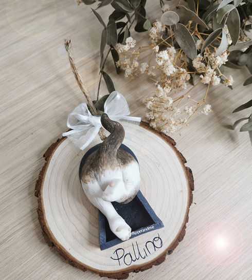 san culazio gatto su tronchetto personalizzato con nome idea regalo per amanti gatti