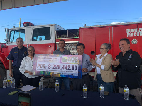 Campos de girasoles dejan más de 222 mil pesos en beneficio del H. Cuerpo de Bomberos de Mocorito