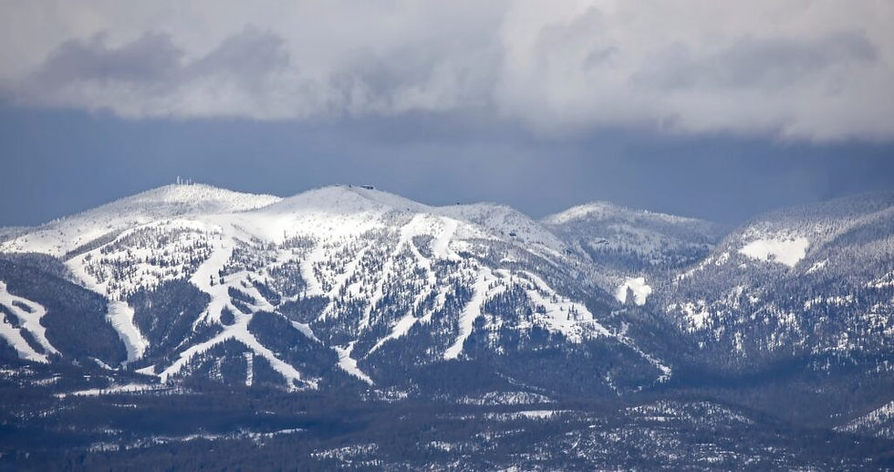 Whitefish Security Summit Young Professionals Program