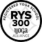 RYS300 logo