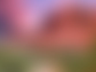 The Beauty of Sedona