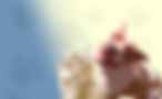 home page banner_dog&cat.png