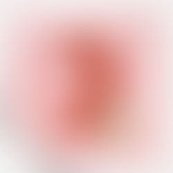 3. DESEMBER: Isbjørn