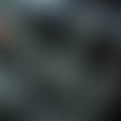 Expert Motorcycle Repairs by a Certified Technician