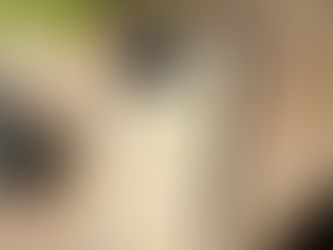 Sunflower | Phone Tough Cases