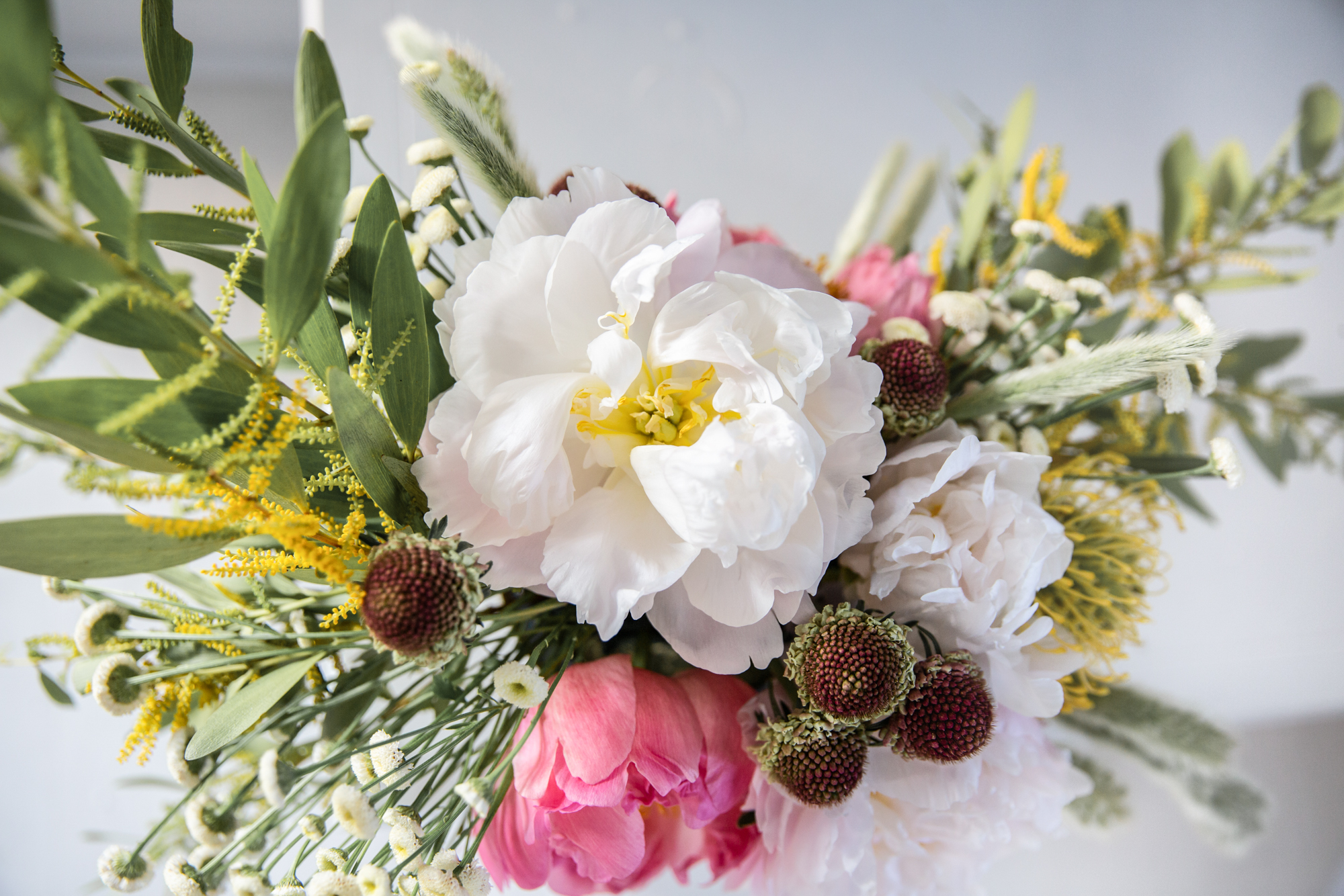 Portfolio Moonbeam Fleurs