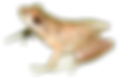 New Project (10).png