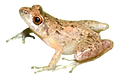 New Project (10).png