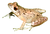 New Project (10).png