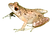 New Project (10).png