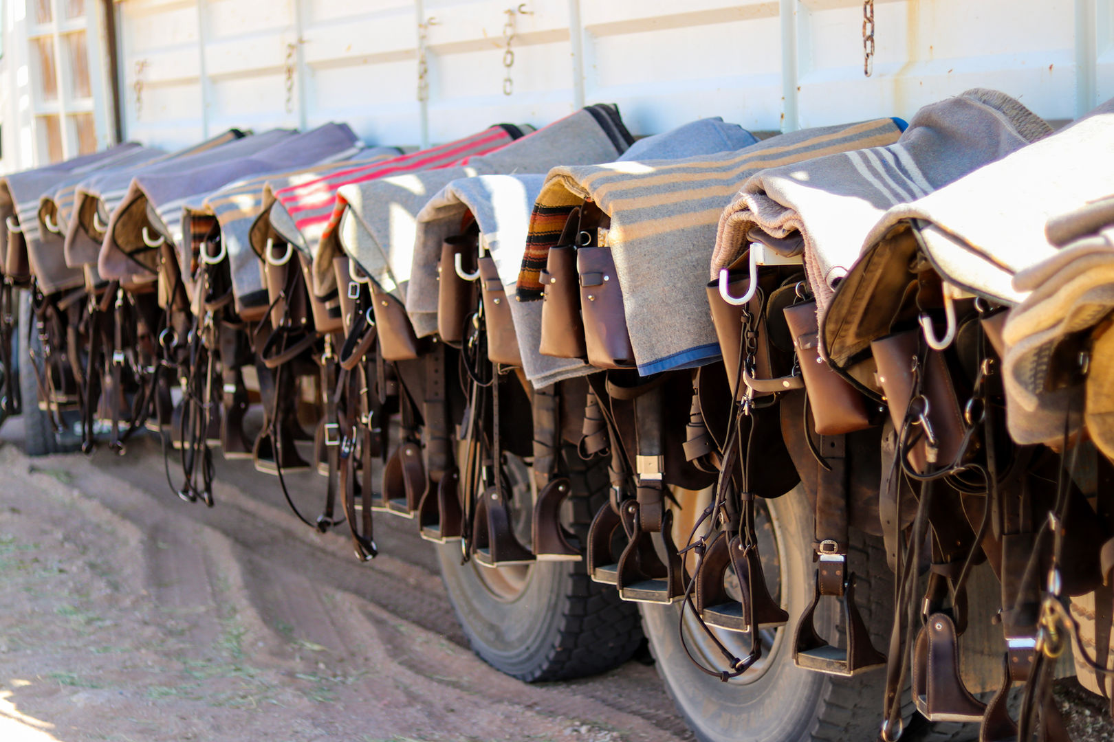 safari saddles, saddles on safari