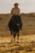 riding horses across the Namib Desert