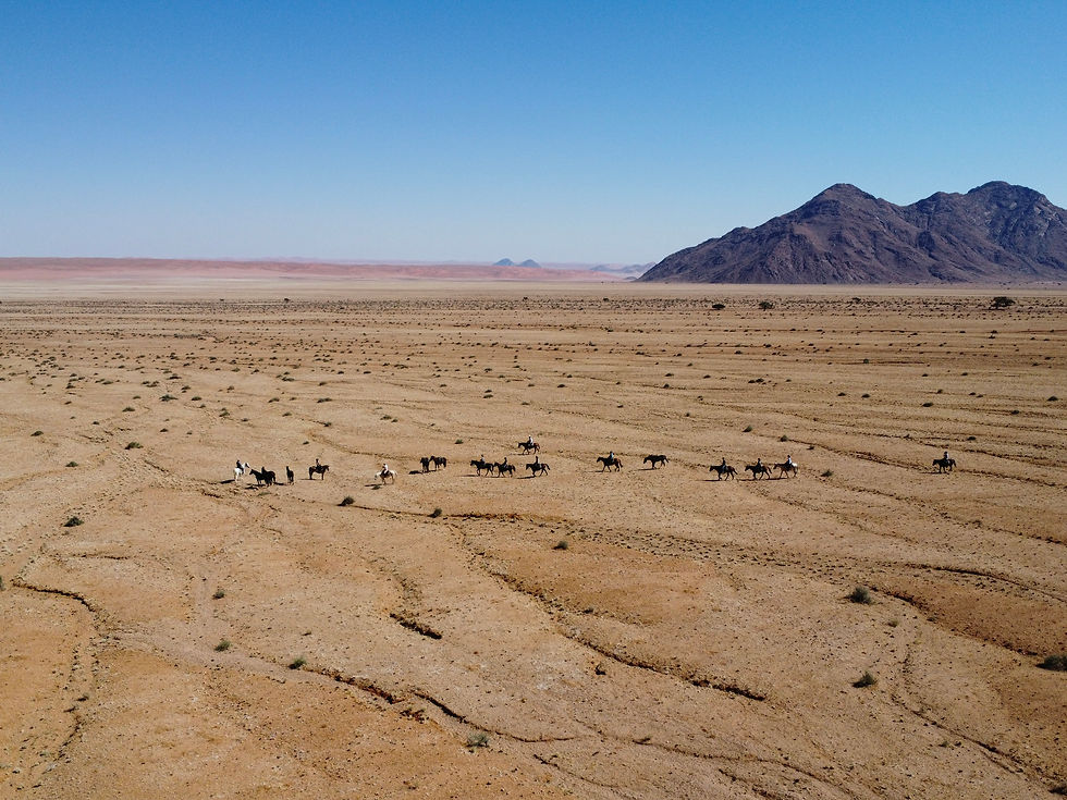 Horseriding in Africa - lessons Namibia's desert teaches us