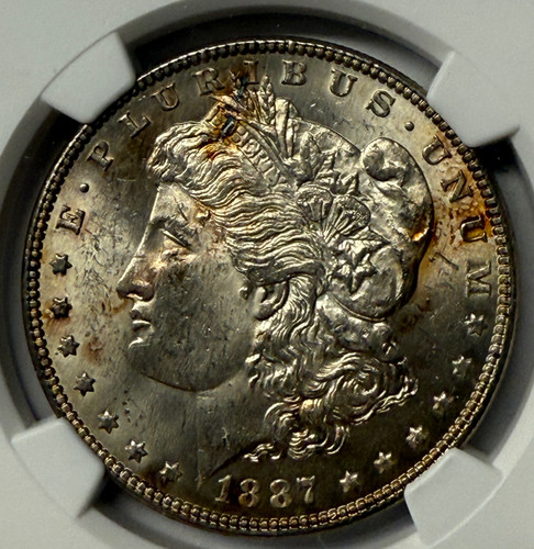 1887 P Morgan Silver Dollar NGC MS 62 | Ed's Elegant Coins