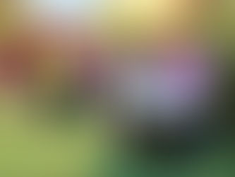 Una 'pichanga' como puente de inclusión:  Edudown lo da todo en la cancha