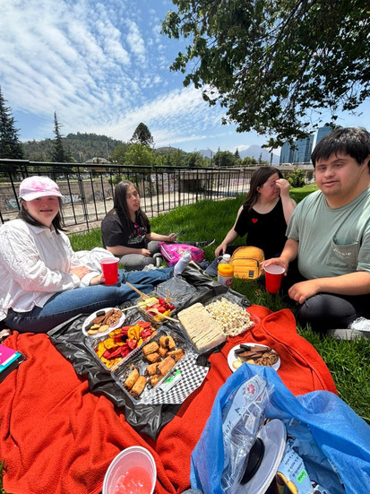 Finalización de VAI