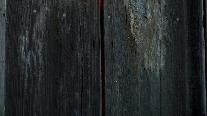 Kusuru İle Sevmektir Kusursuz Sevmek