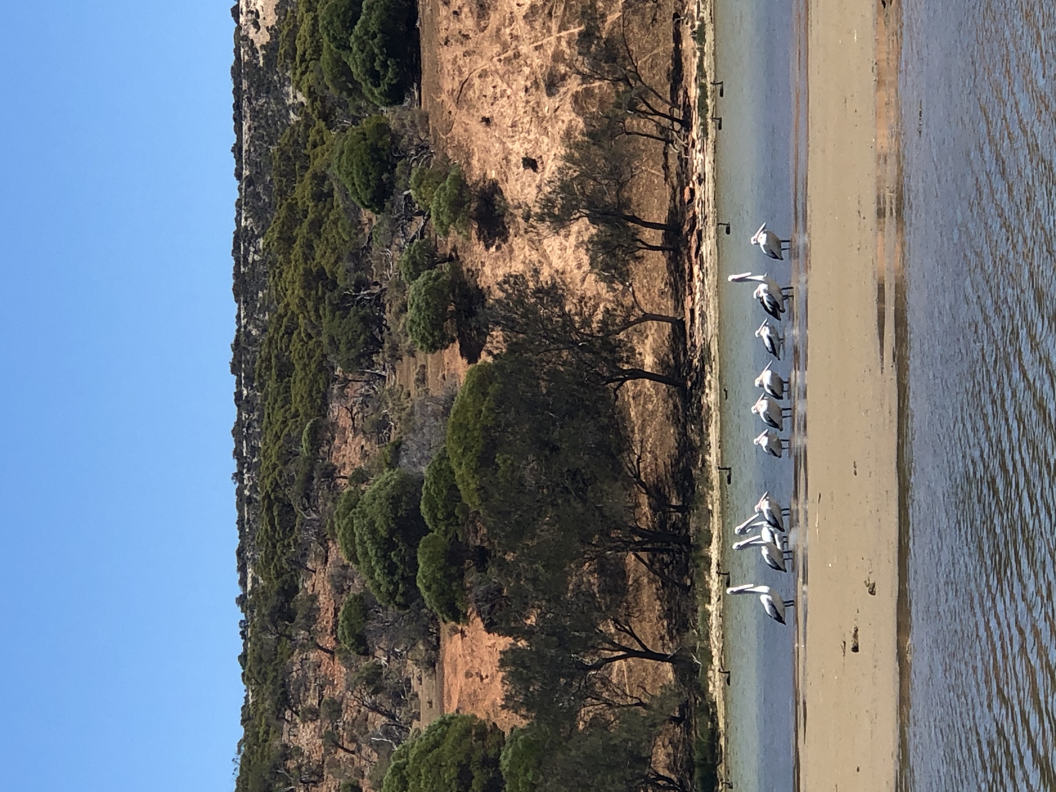 KALBARRI CANOE SAFARIS Kalbarri boat hire