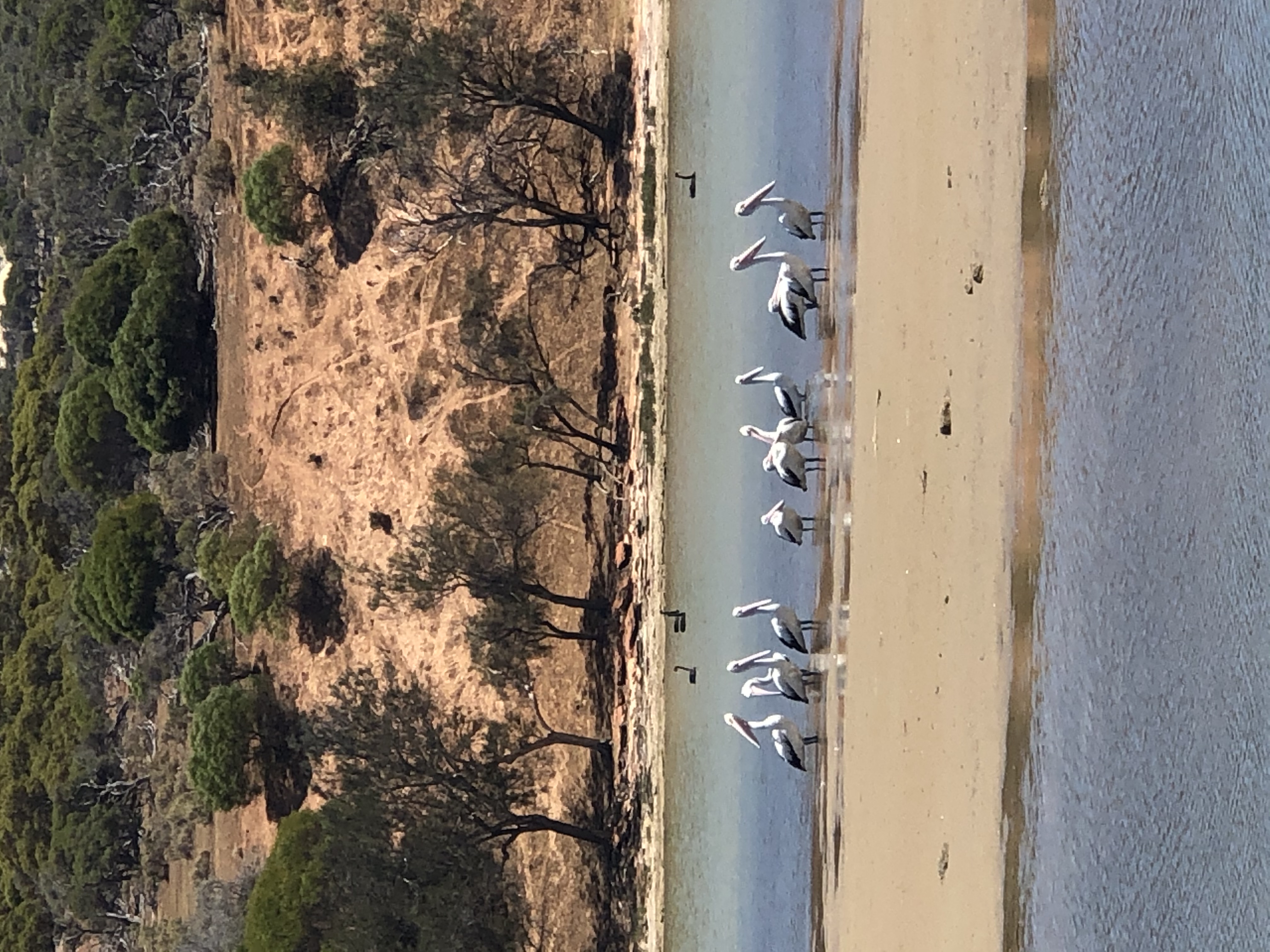KALBARRI CANOE SAFARIS Kalbarri boat hire