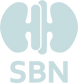 logo sbn fundo azul .png