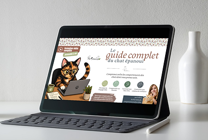 Copie de Copie de Copie de Copie de Copie de Copie de L'alimentation du chat (14).png