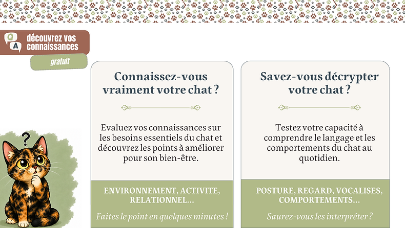 Copie de Copie de Copie de Copie de Copie de Copie de L'alimentation du chat (13).png