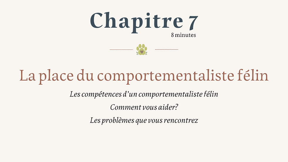 La place du comportementaliste félin