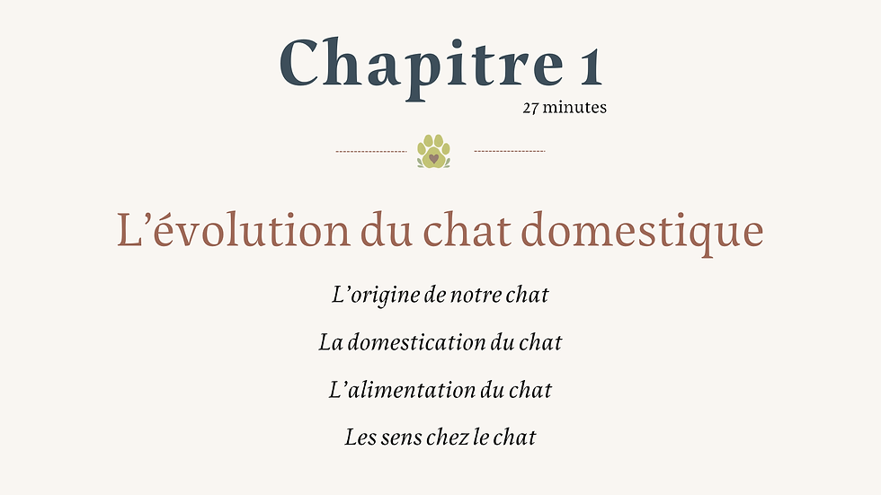 L'évolution du chat domestique